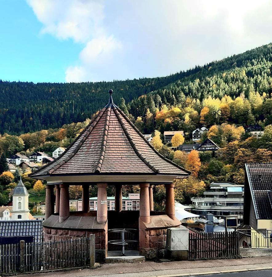 Fewo Sehl Apartment Bad Wildbad Ngoại thất bức ảnh