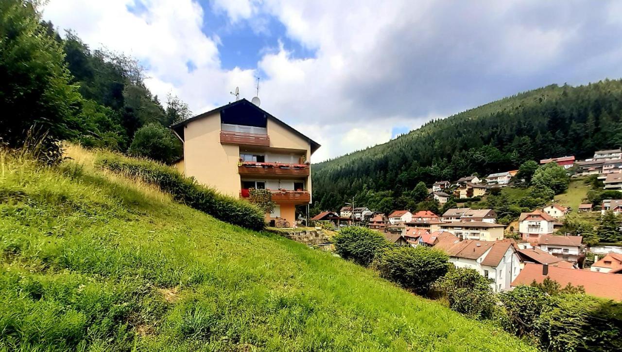 Fewo Sehl Apartment Bad Wildbad Ngoại thất bức ảnh